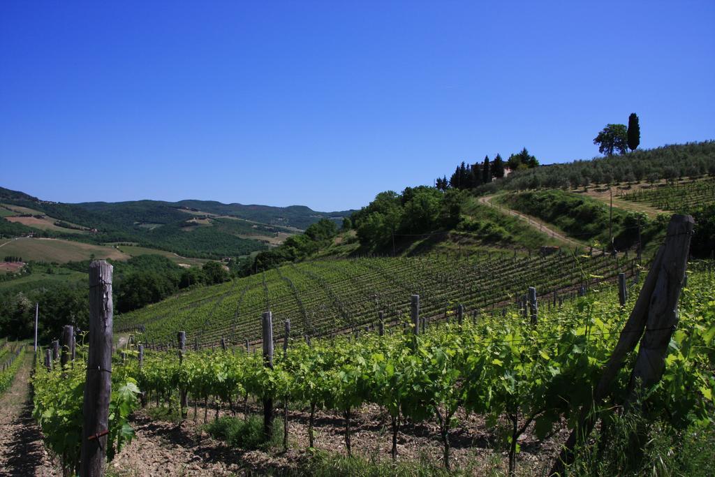 Il Borghetto Tuscan Holidays Σαν Τζιμινιάνο Εξωτερικό φωτογραφία
